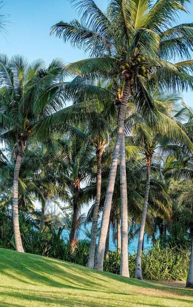 THE ST. REGIS SANYA YALONG BAY RESORT - 52