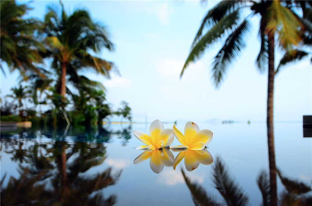 THE ST. REGIS SANYA YALONG BAY RESORT - 51