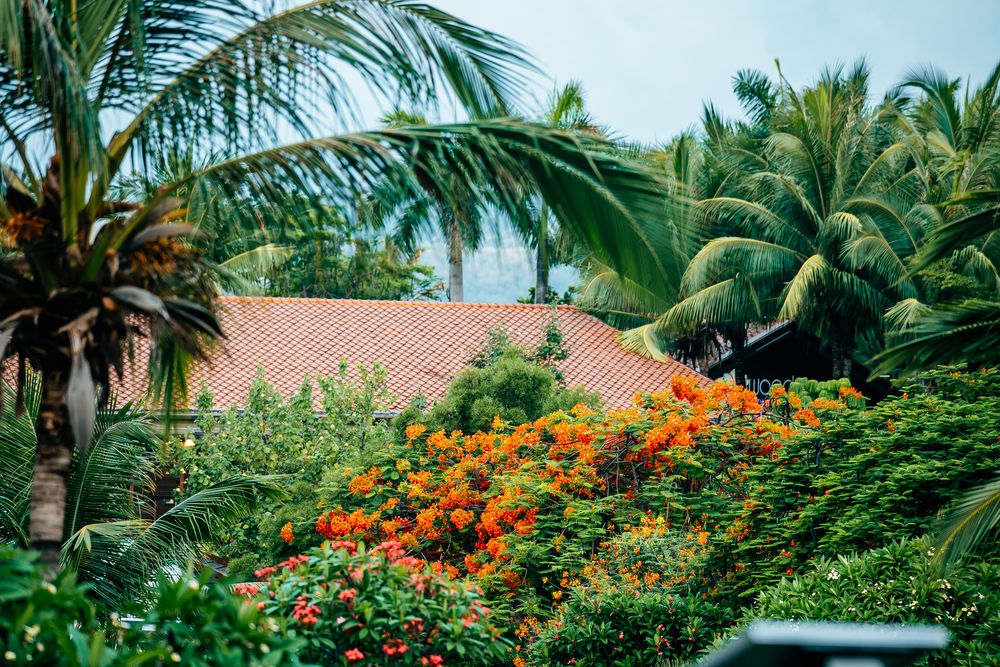 Картинка отеля - 16