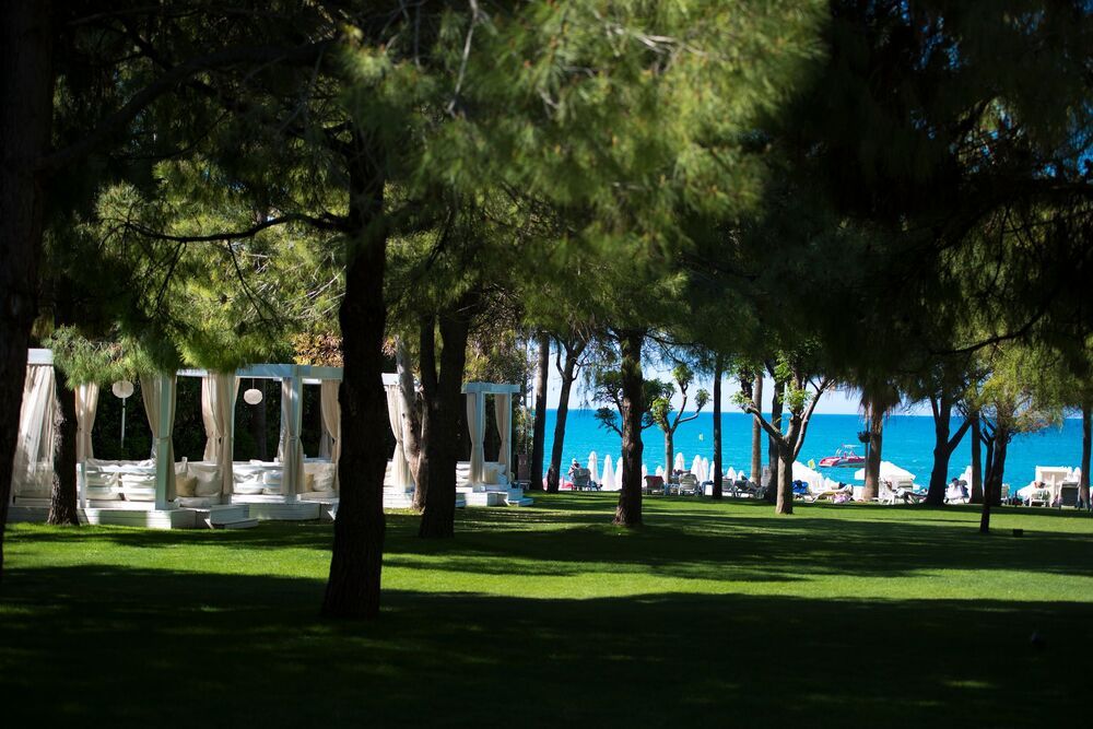 Barut Hemera - 22