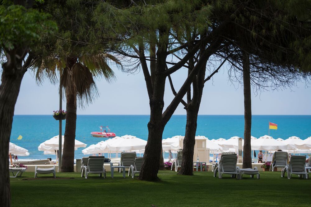 Barut Hemera - 65