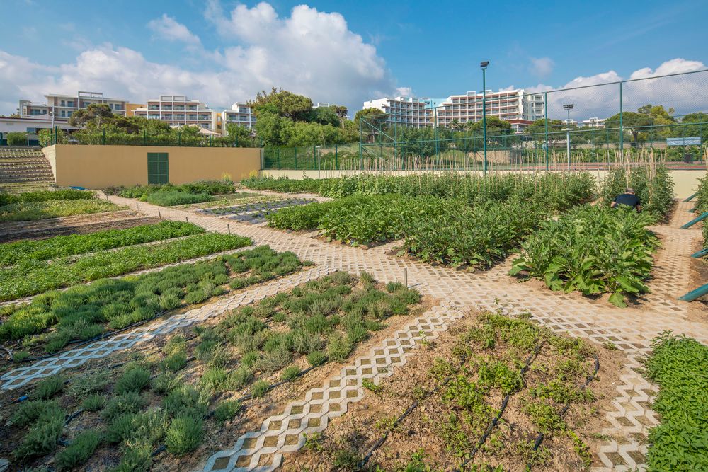 Картинка отеля - 25