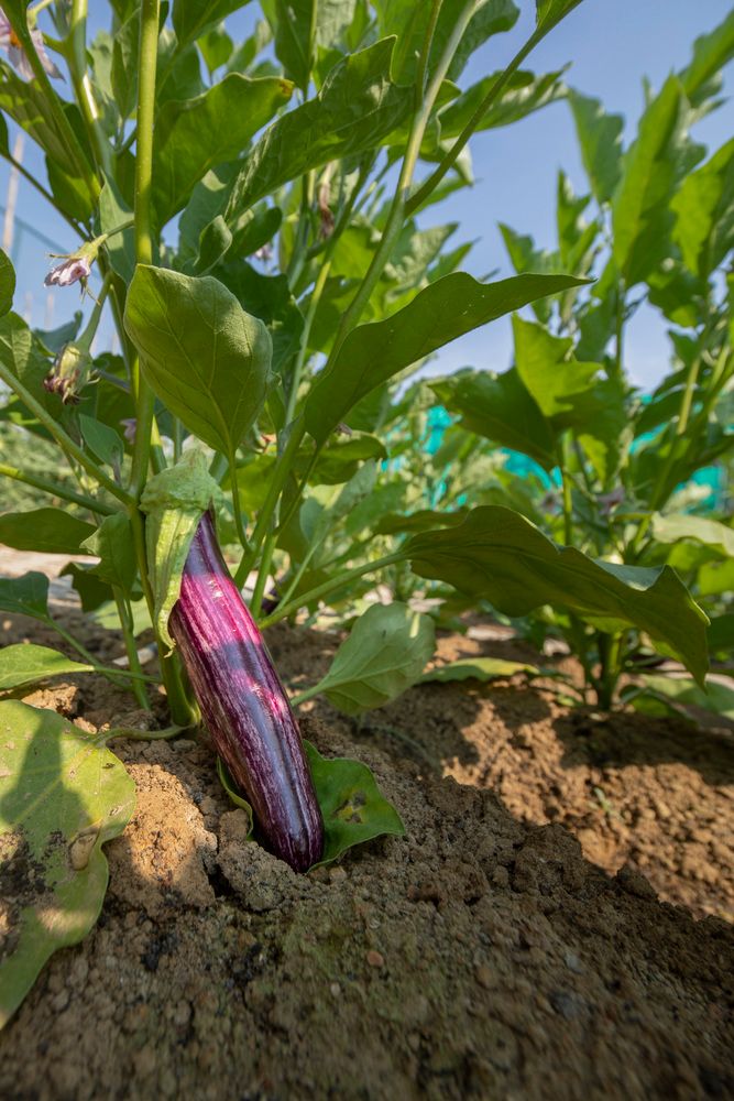 Картинка отеля - 24