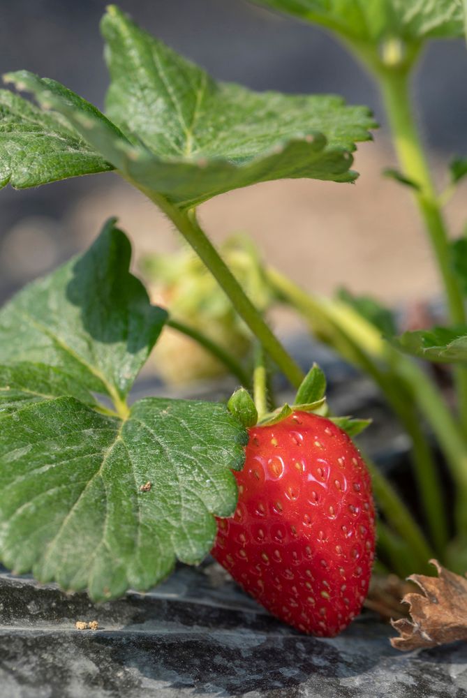 Картинка отеля - 23