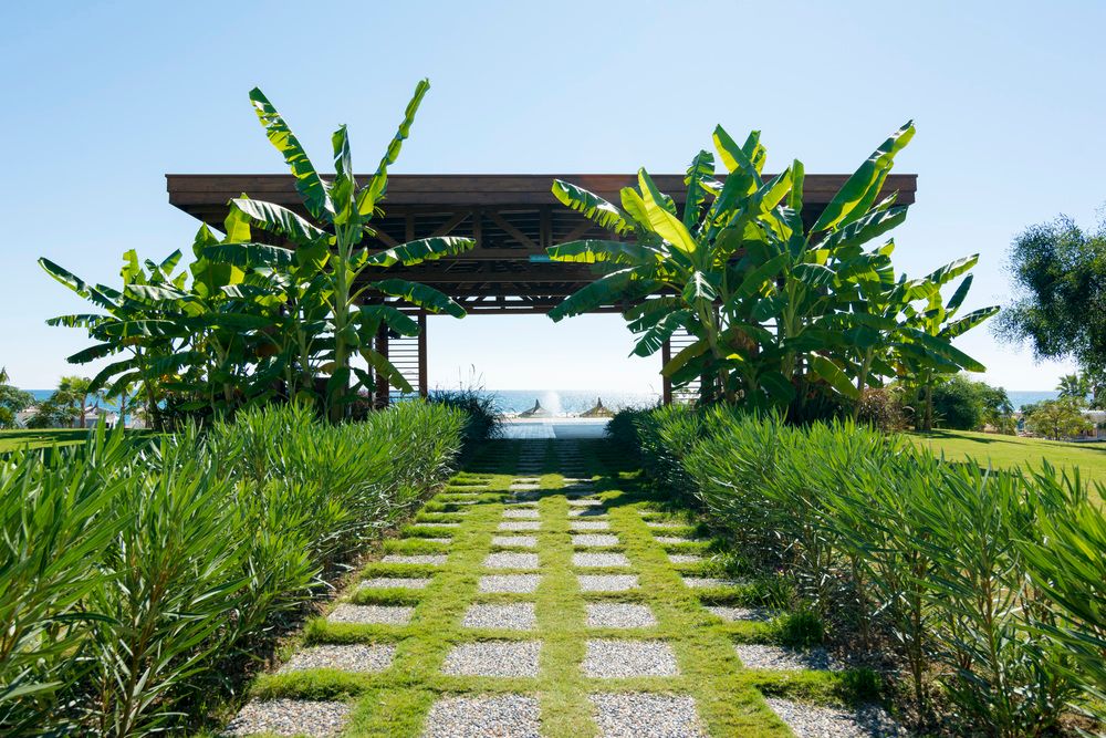 Картинка отеля - 19