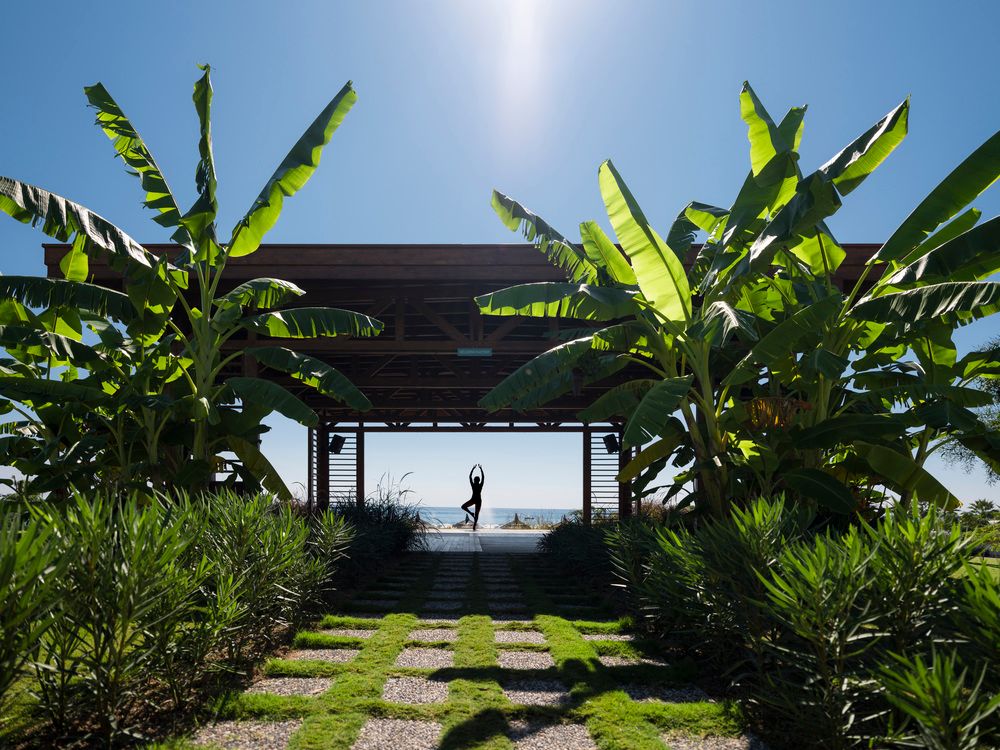 Картинка отеля - 20