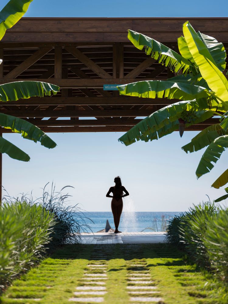 Картинка отеля - 22