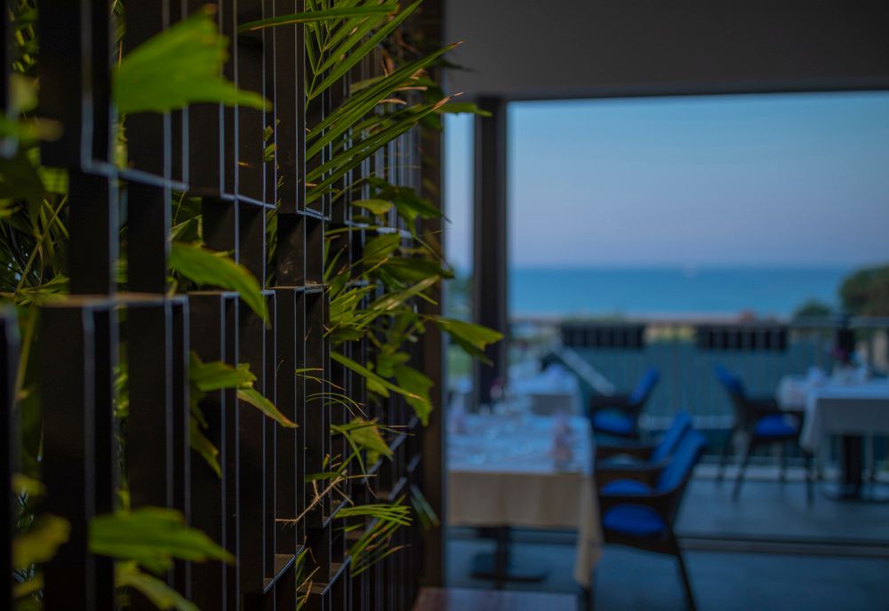 Картинка отеля - 196