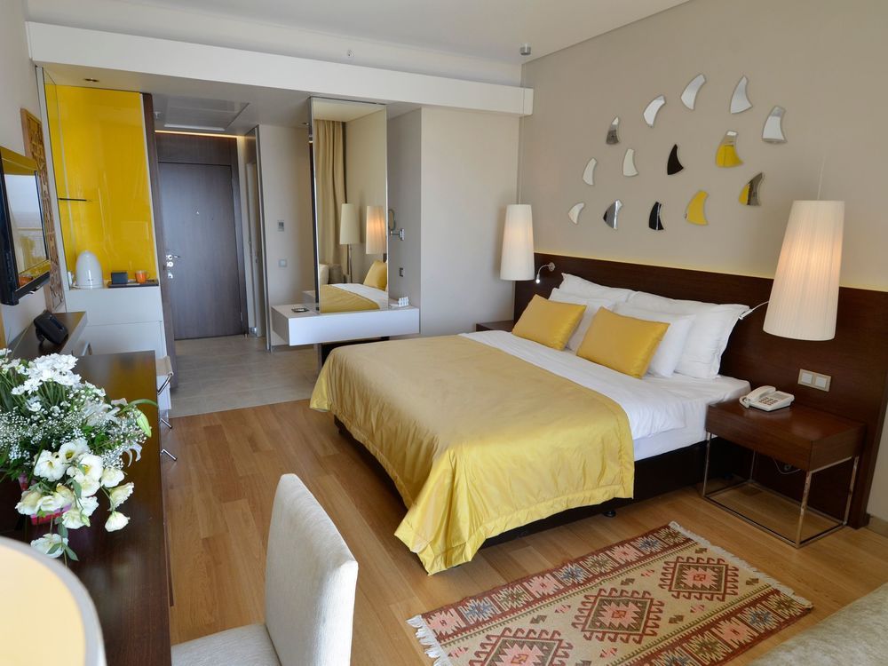 Картинка отеля - 245