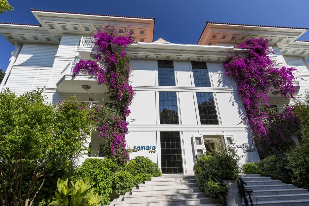 Картинка отеля - 3