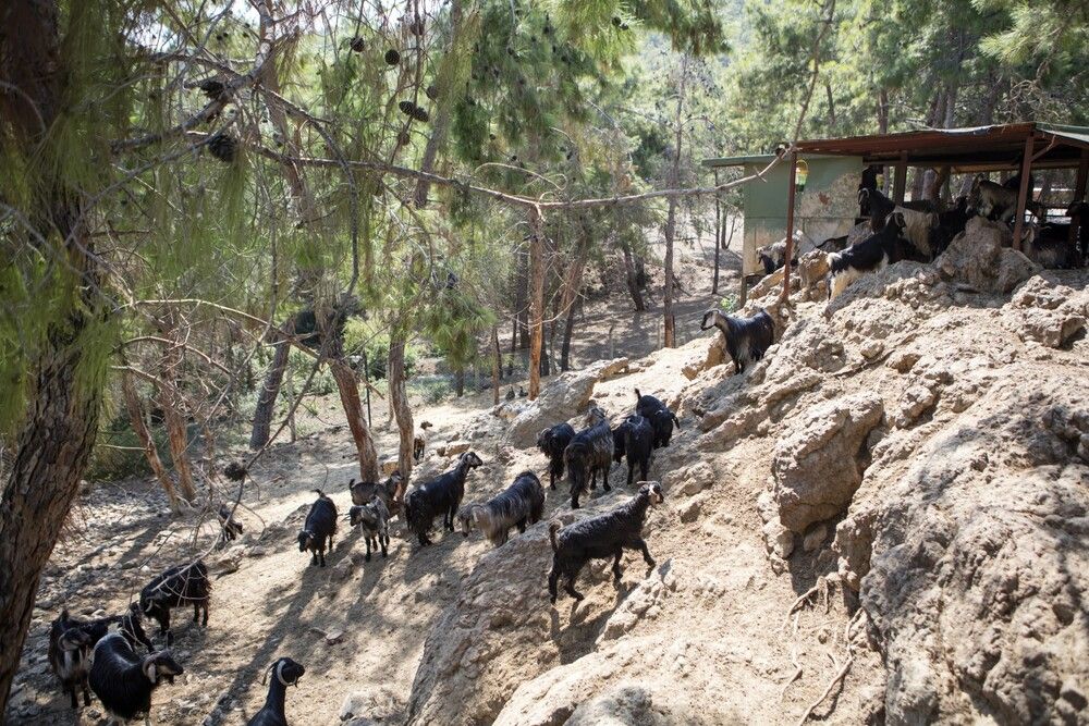 Картинка отеля - 16