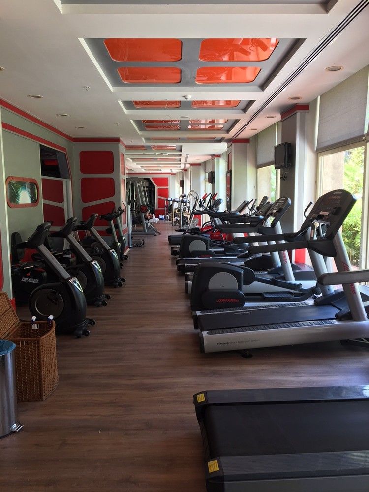 Delphin Diva Premiere - 14