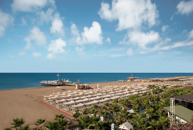 Delphin Diva Premiere - 2