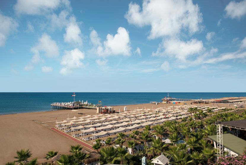 Delphin Diva Premiere - 2