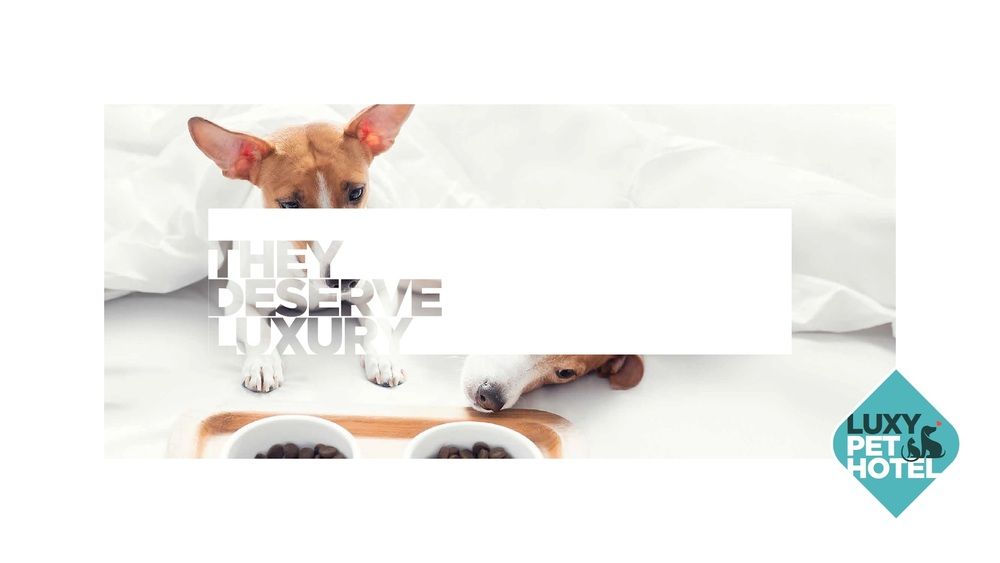 Nirvana Mediterranean Excellence - 31