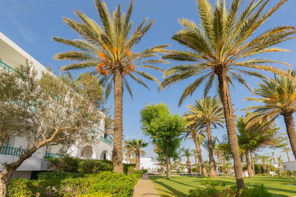 Картинка отеля - 5