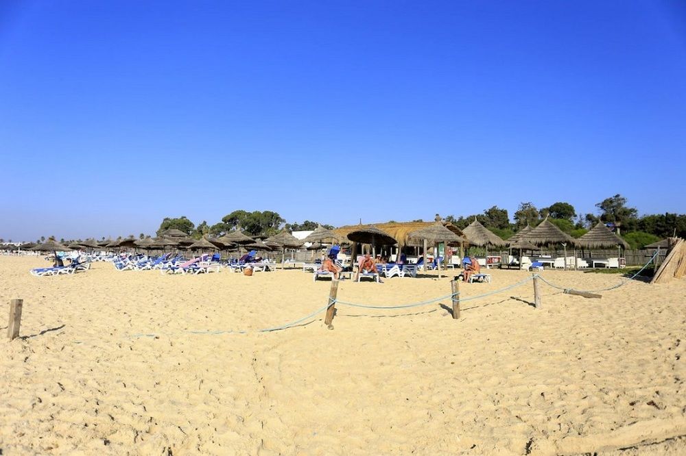 Картинка отеля - 9