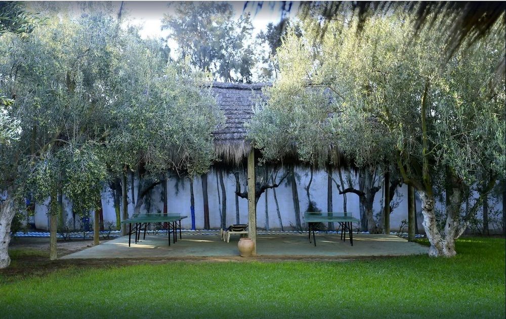 Картинка отеля - 13