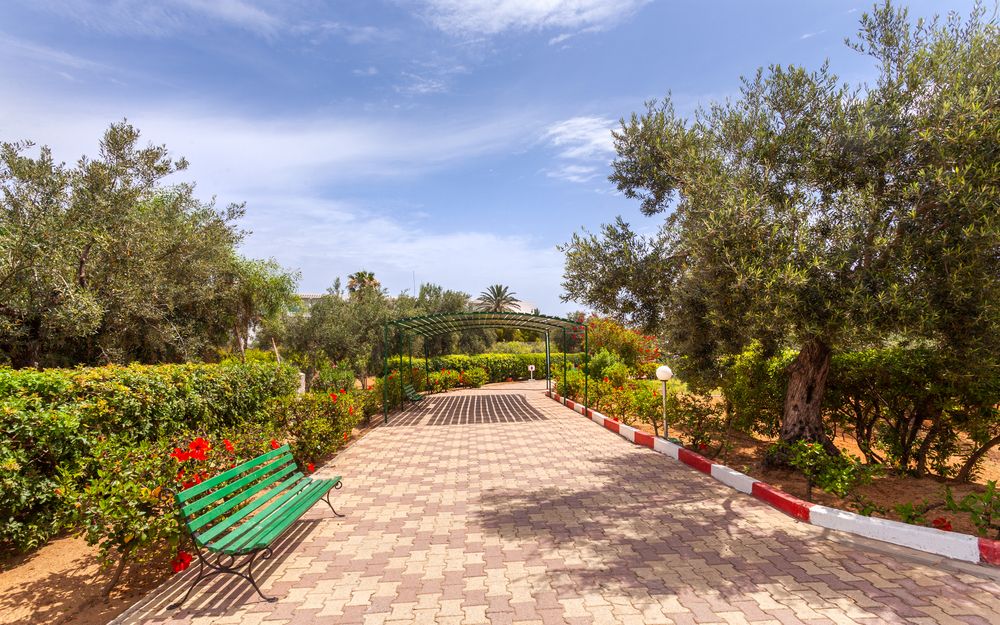 Картинка отеля - 16