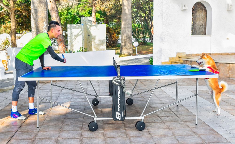 CLUB NOVOSTAR SOL AZUR BEACH CONGRESS - 43