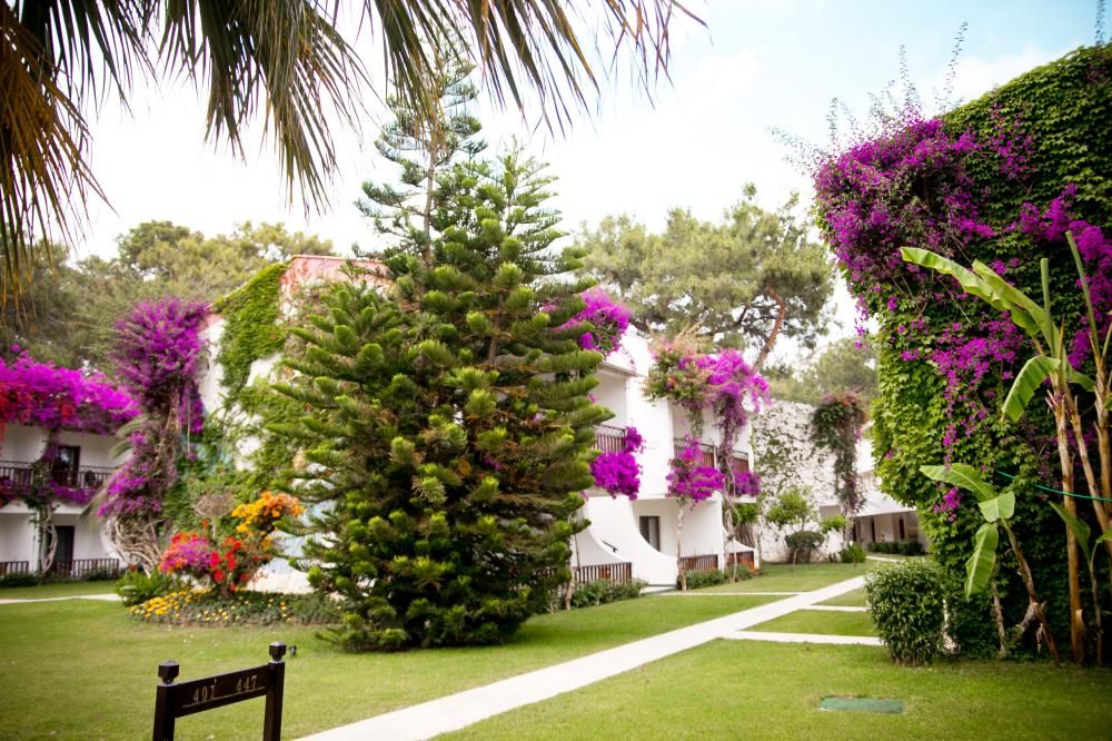 Club Boran Mare Beach - 11