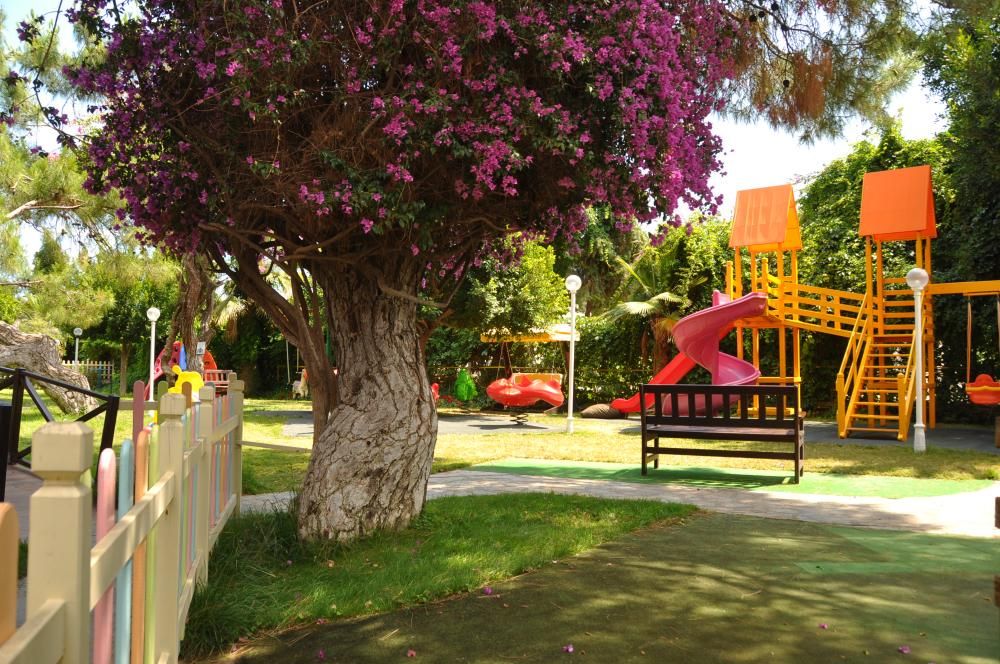 Club Boran Mare Beach - 50