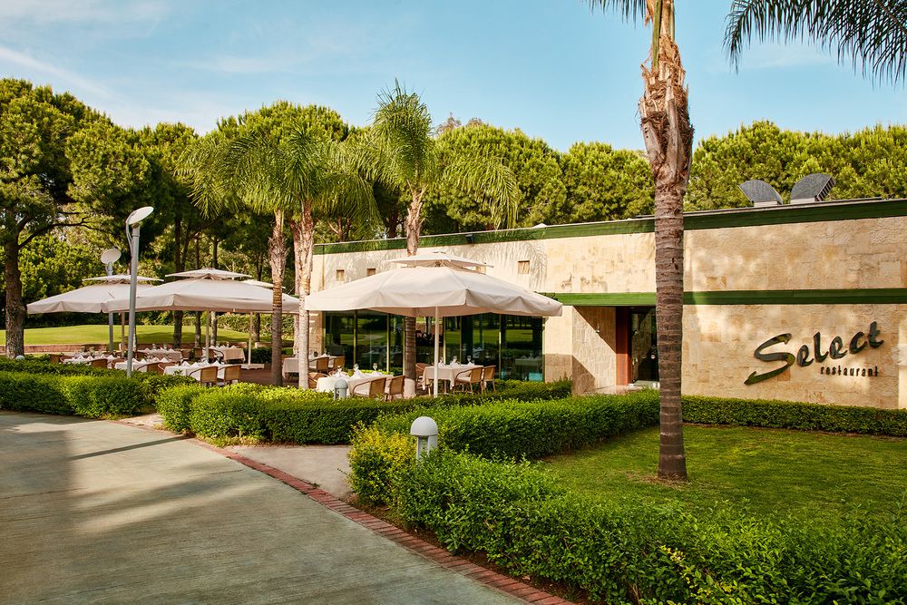 Картинка отеля - 28