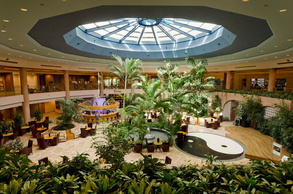 Картинка отеля - 5