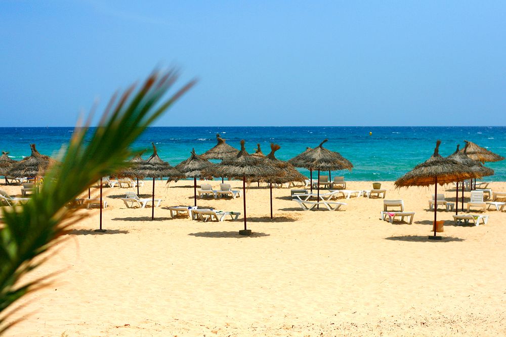 CLUB NOVOSTAR DAR KHAYAM - 12