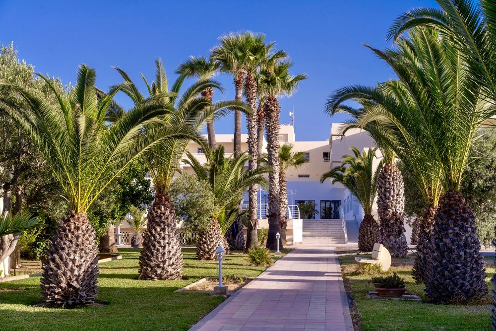 CLUB NOVOSTAR OMAR KHAYAM - 16