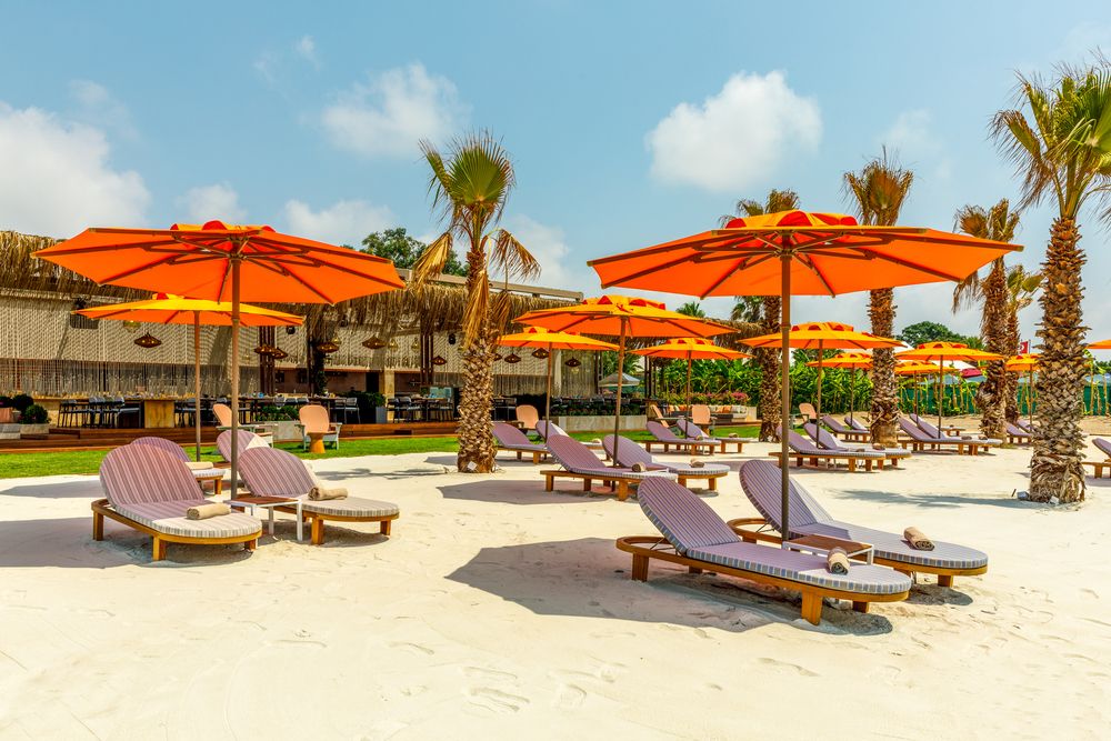 Картинка отеля - 15