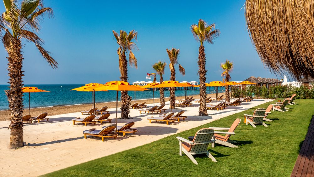 Картинка отеля - 14