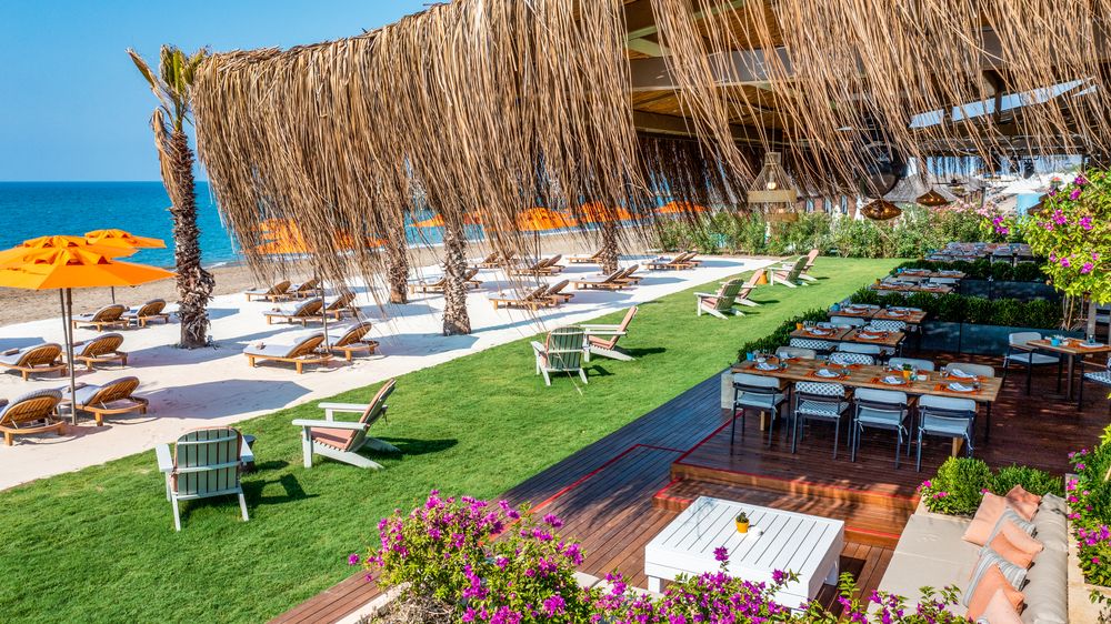 Картинка отеля - 16