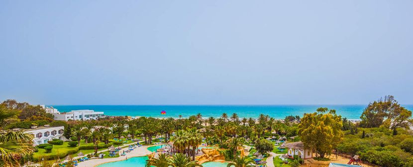 SENTIDO PHENICIA - 1