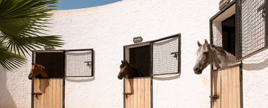 Картинка отеля - 21