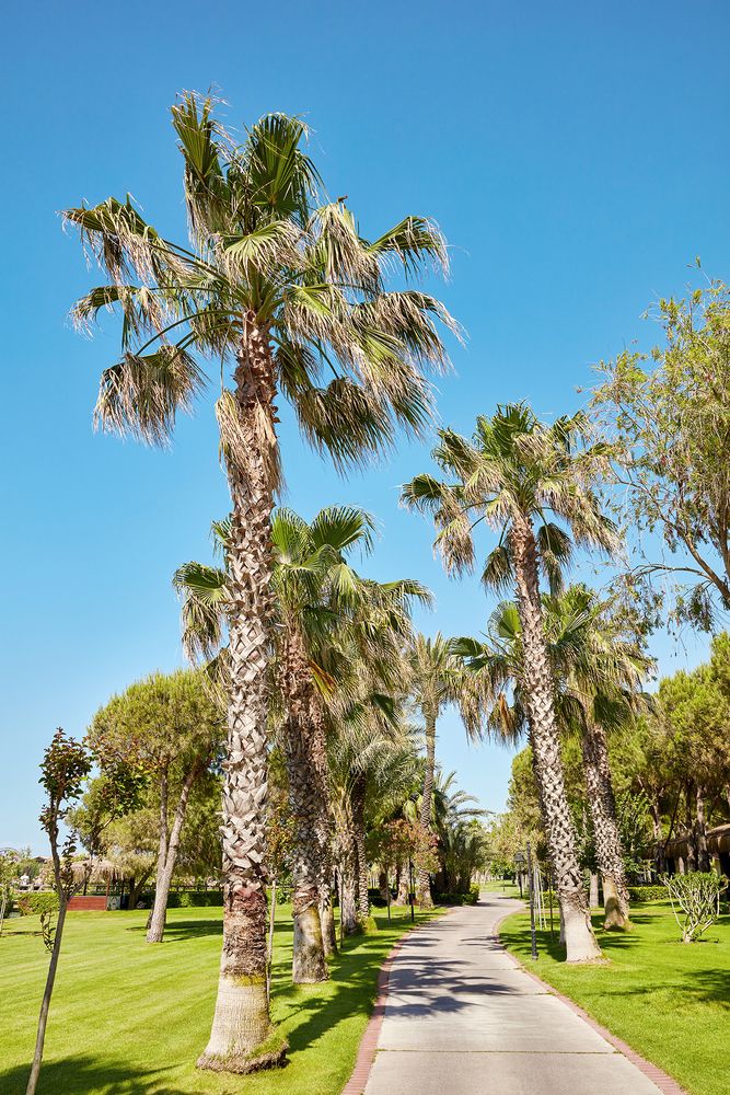 Gloria Golf Resort - 11