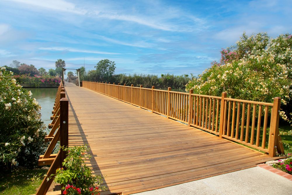 Картинка отеля - 14