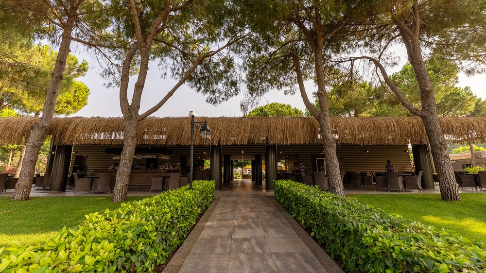 Картинка отеля - 36