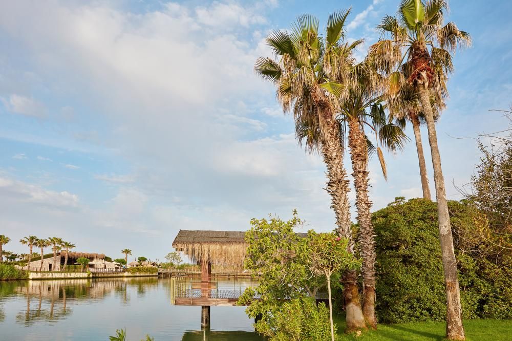 Картинка отеля - 12