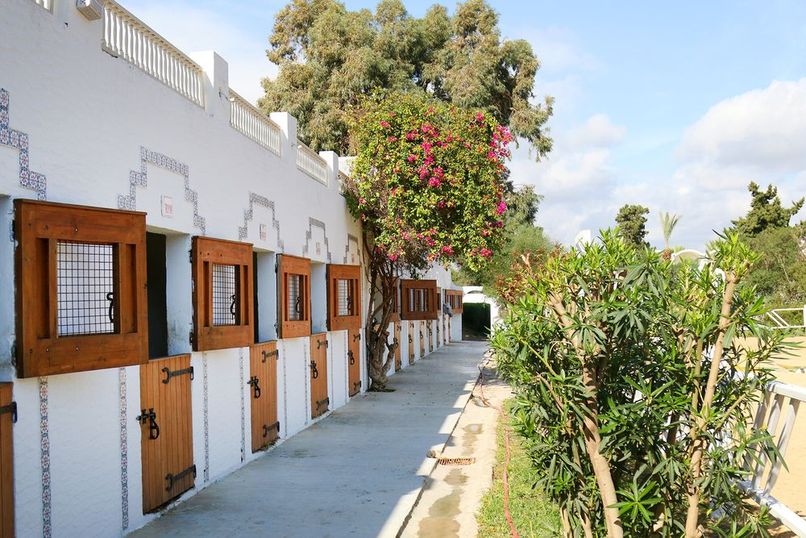 THE ORANGERS BEACH RESORT & BUNGALOW - 5