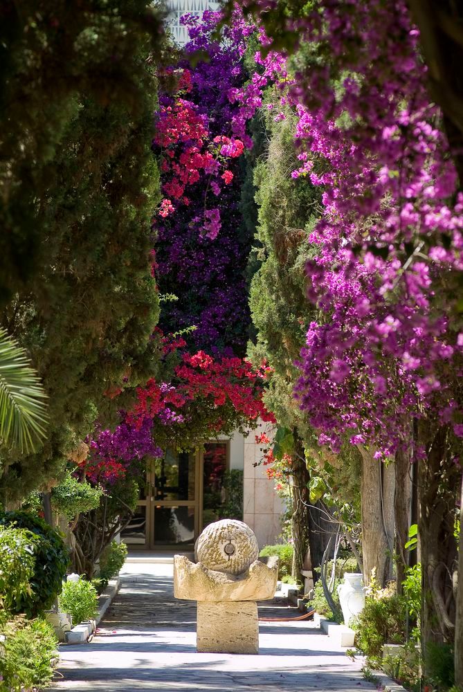 THE ORANGERS BEACH RESORT & BUNGALOW - 4