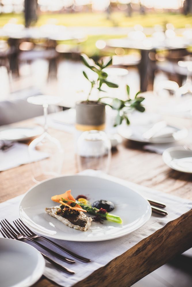 Paloma Finesse Side - 13