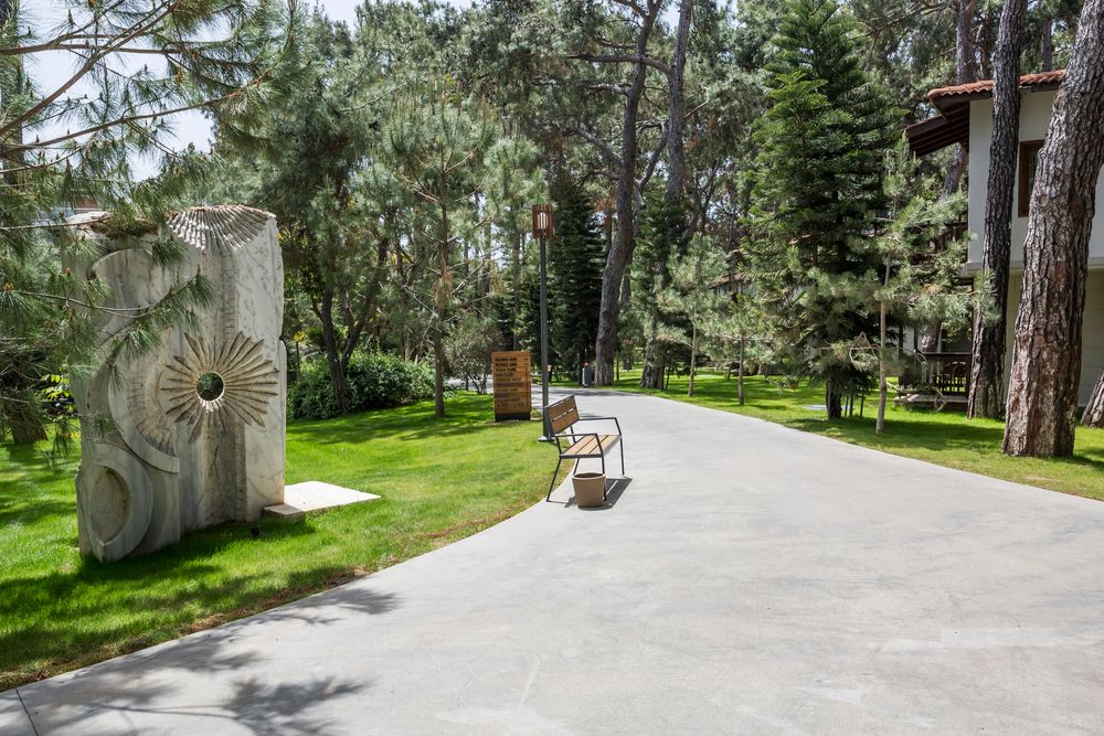 Картинка отеля - 16