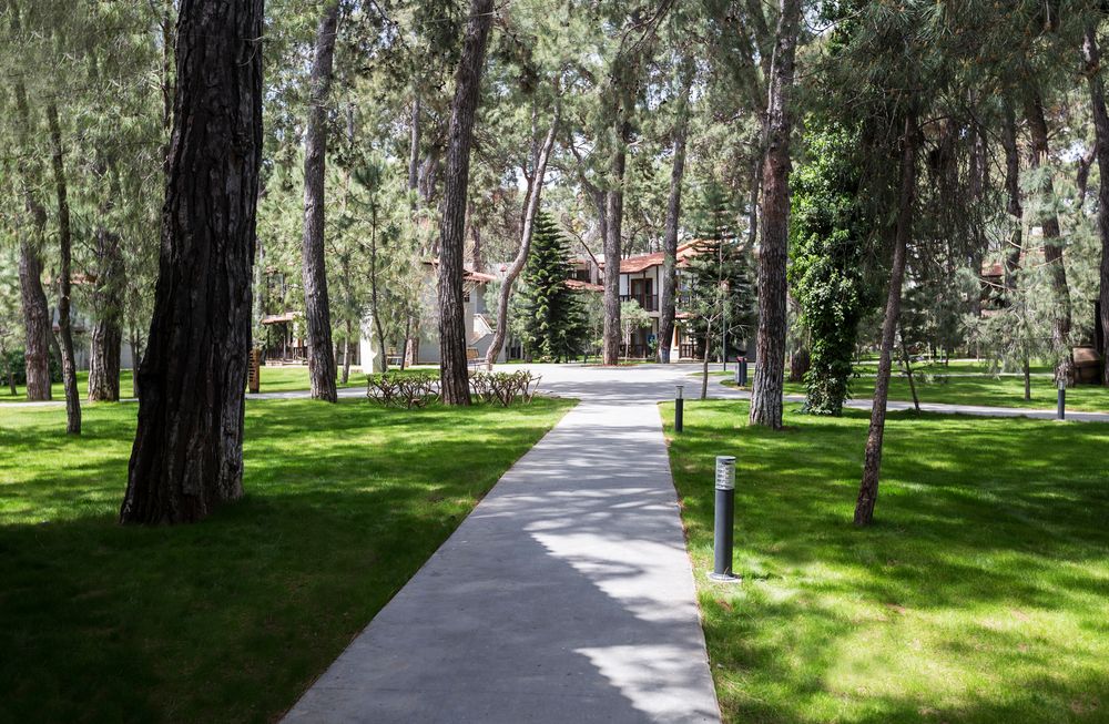 Картинка отеля - 17