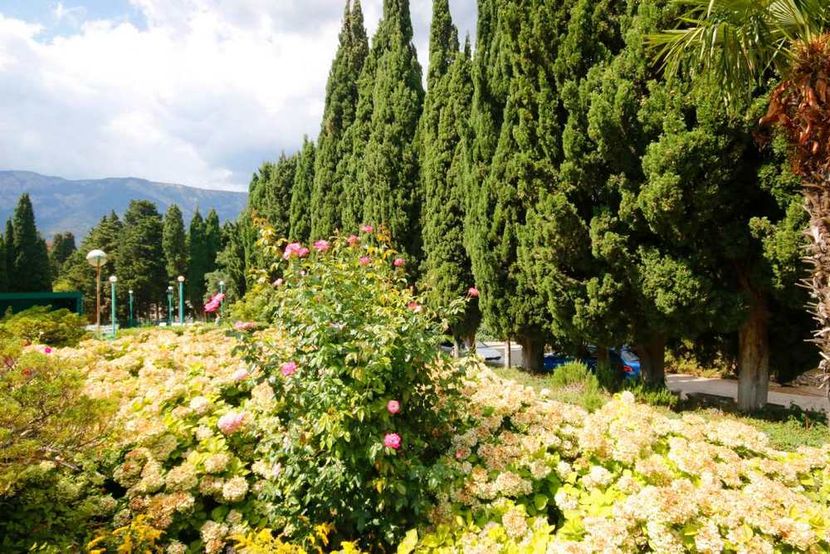УЗБЕКИСТАН, санаторий (Ялта) - 3