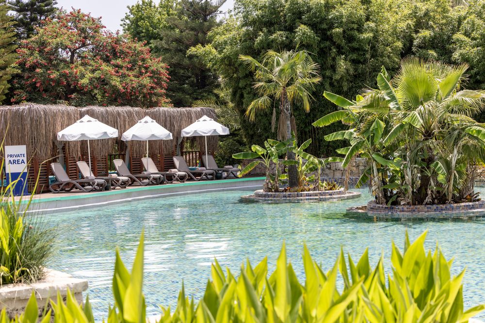 Картинка отеля - 37