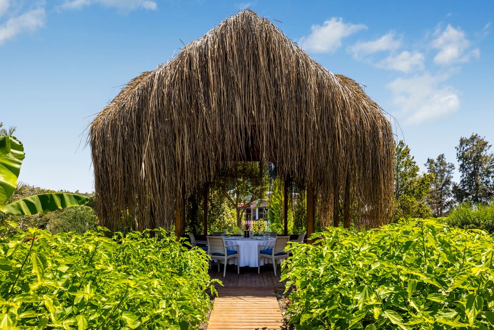 Картинка отеля - 42