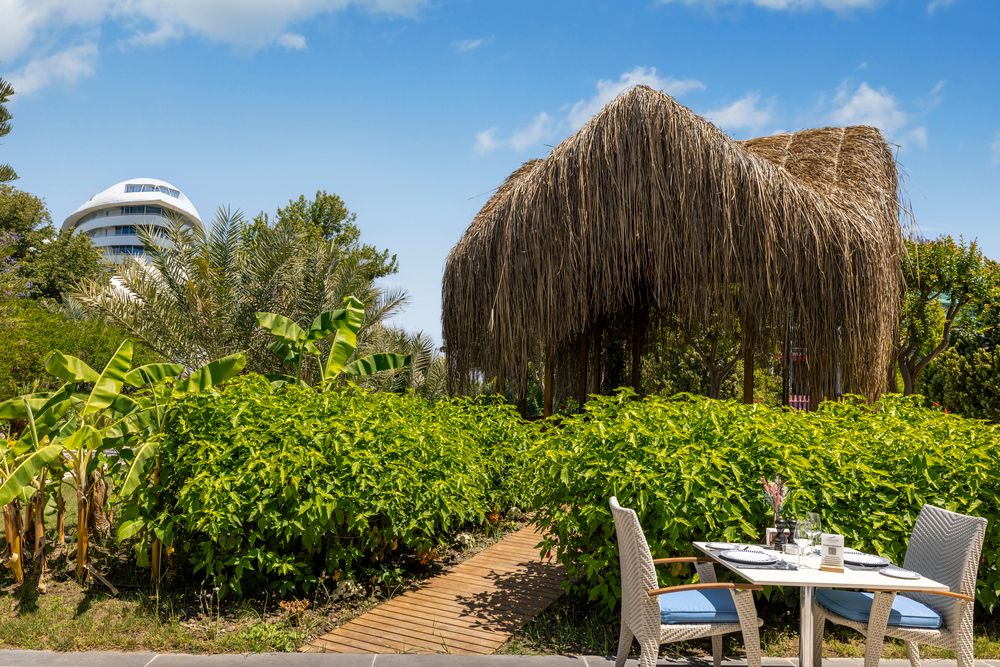 Concorde De Luxe Resort - 43