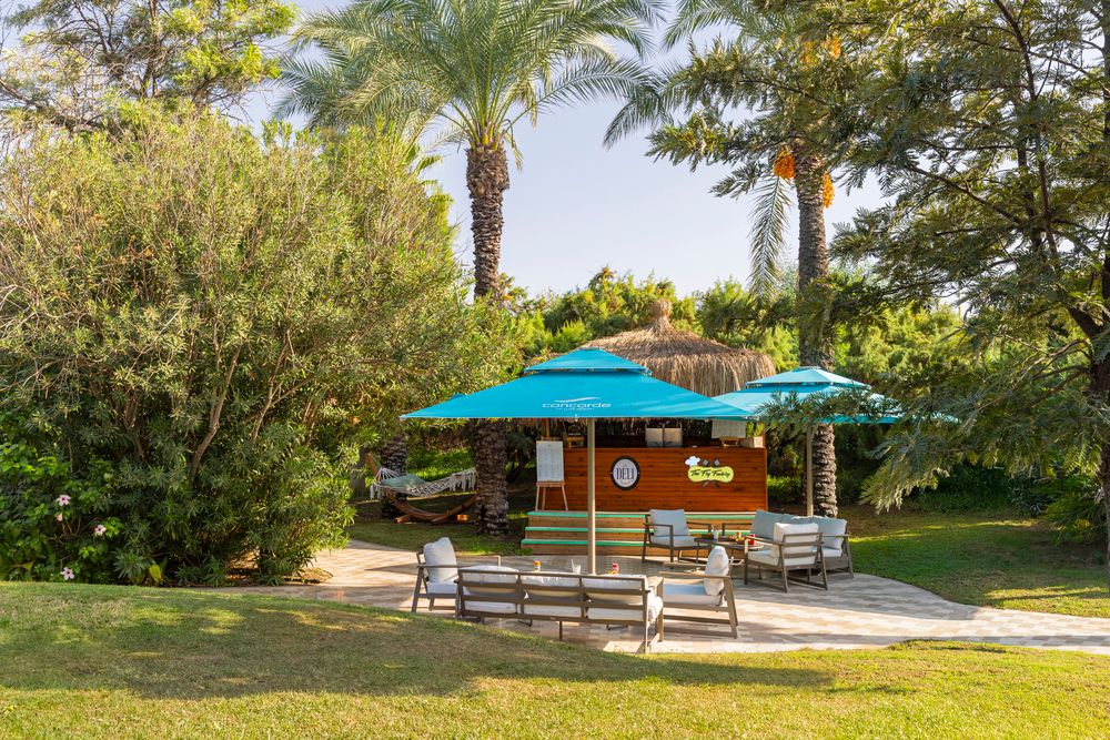 Картинка отеля - 41