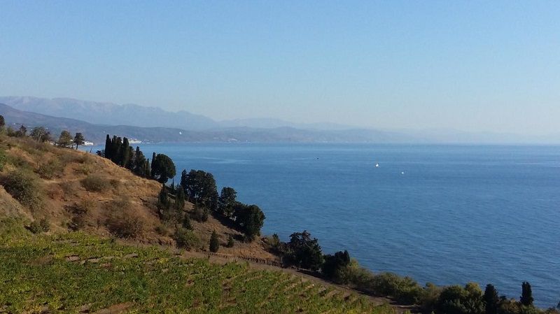 АННИГОРА, вилла - 7